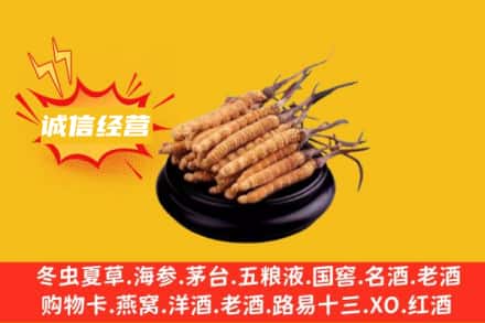 包河区回收冬虫夏草